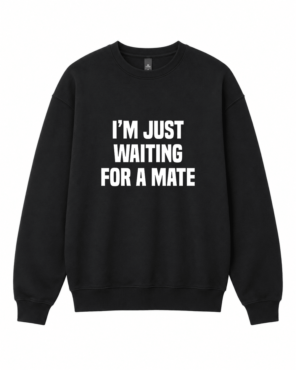 BDG Crew Neck Sweatshirt - Just Waiting for a Mate - Built Different Goods