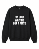 BDG Crew Neck Sweatshirt - Just Waiting for a Mate - Built Different Goods
