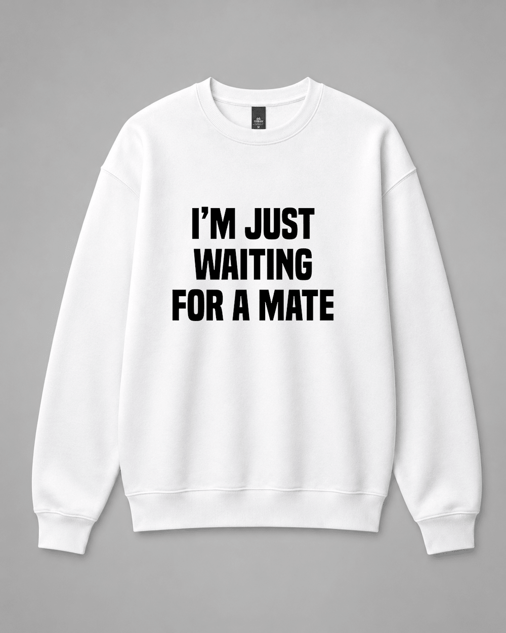 BDG Crew Neck Sweatshirt - Just Waiting for a Mate - Built Different Goods