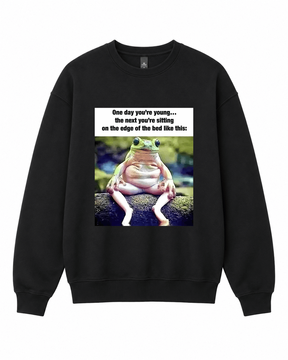 BDG Crew Neck Sweatshirt - One day you're young - Built Different Goods