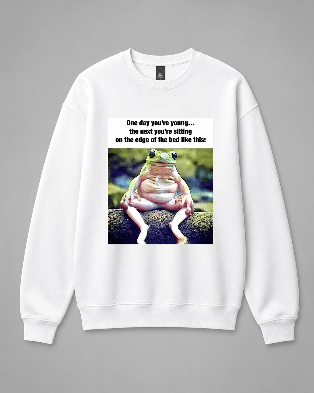 BDG Crew Neck Sweatshirt - One day you're young - Built Different Goods