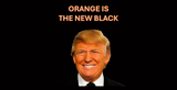 5mm Neoprene Stubby Holder for 375ml Cans - DT - Orange is the new black