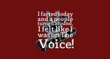 5mm Neoprene Stubby Holder for 375ml Cans - Farted - The Voice