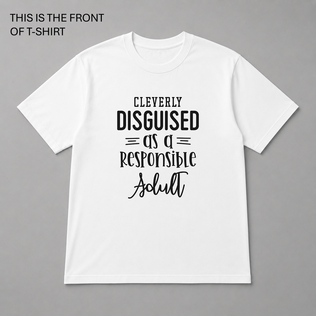 BDG Graphic T-Shirt - Cleverly Disguised as a Responsible Adult