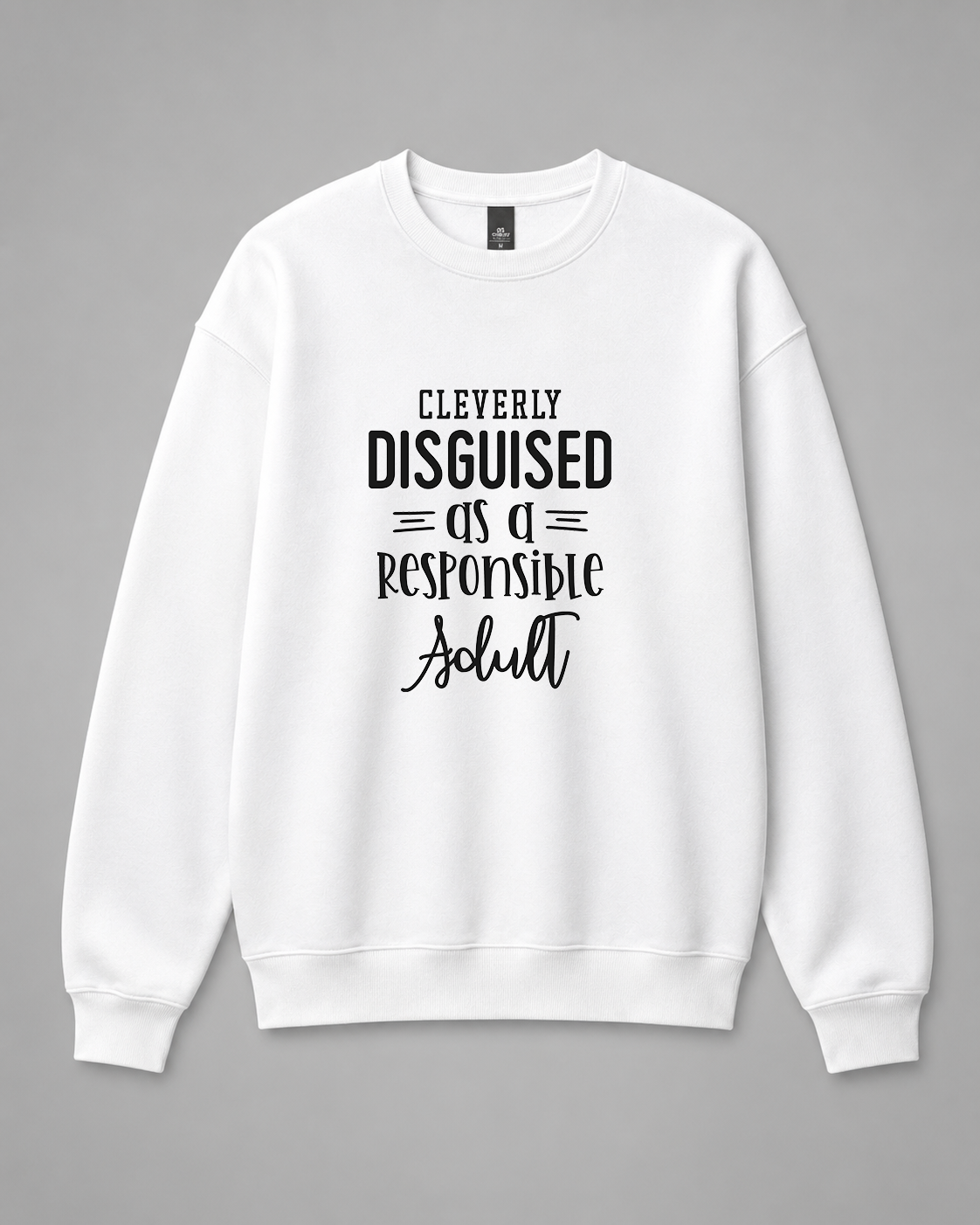 BDG Crew Neck Sweatshirt  -  Cleverly Disguised as a responsible adult