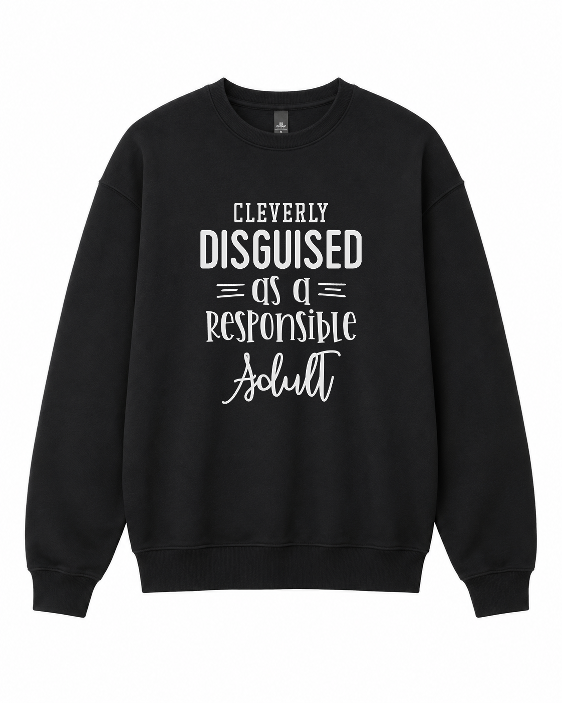 BDG Crew Neck Sweatshirt  -  Cleverly Disguised as a responsible adult