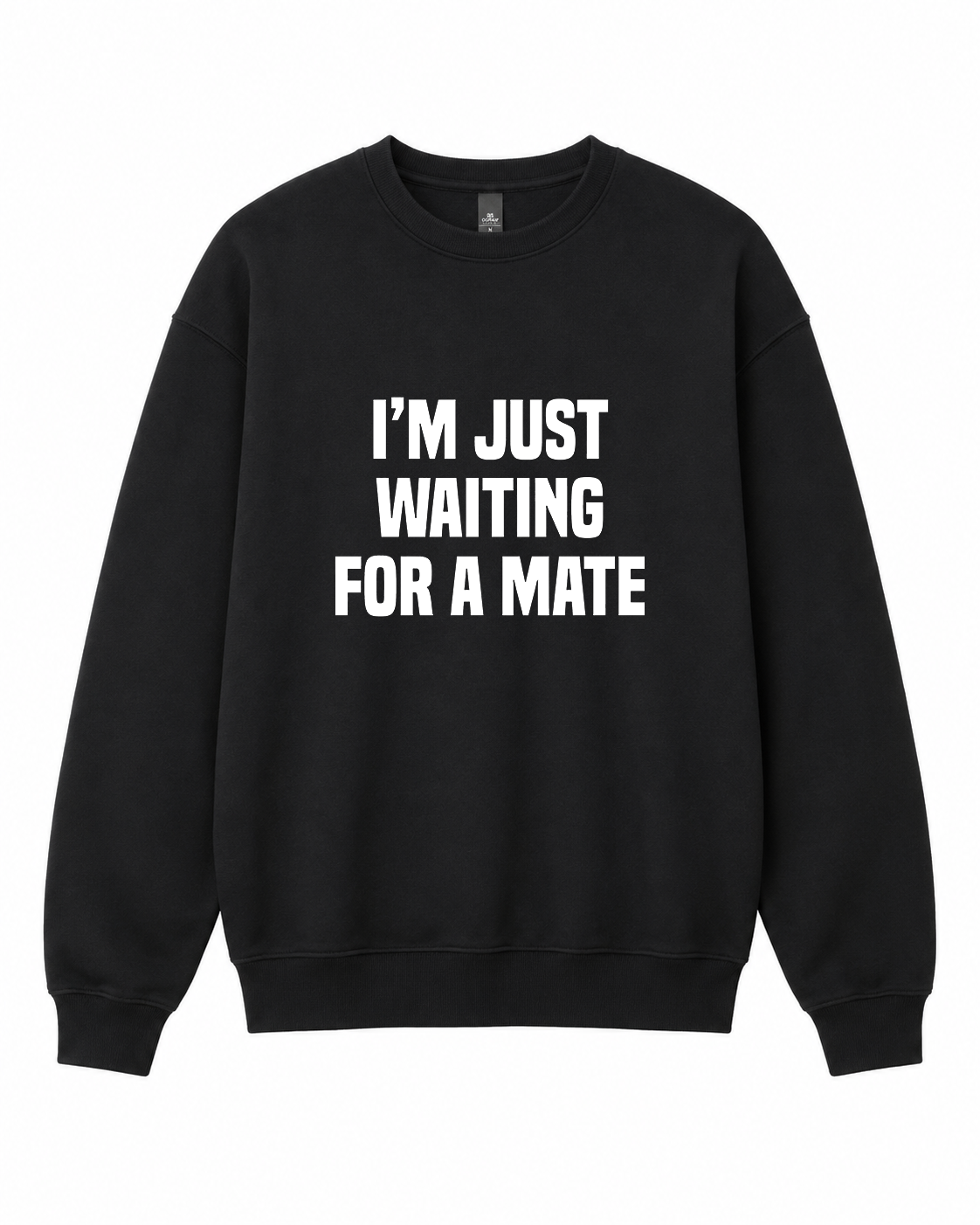 BDG Crew Neck Sweatshirt  -  Just Waiting for a Mate
