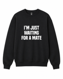 BDG Crew Neck Sweatshirt  -  Just Waiting for a Mate