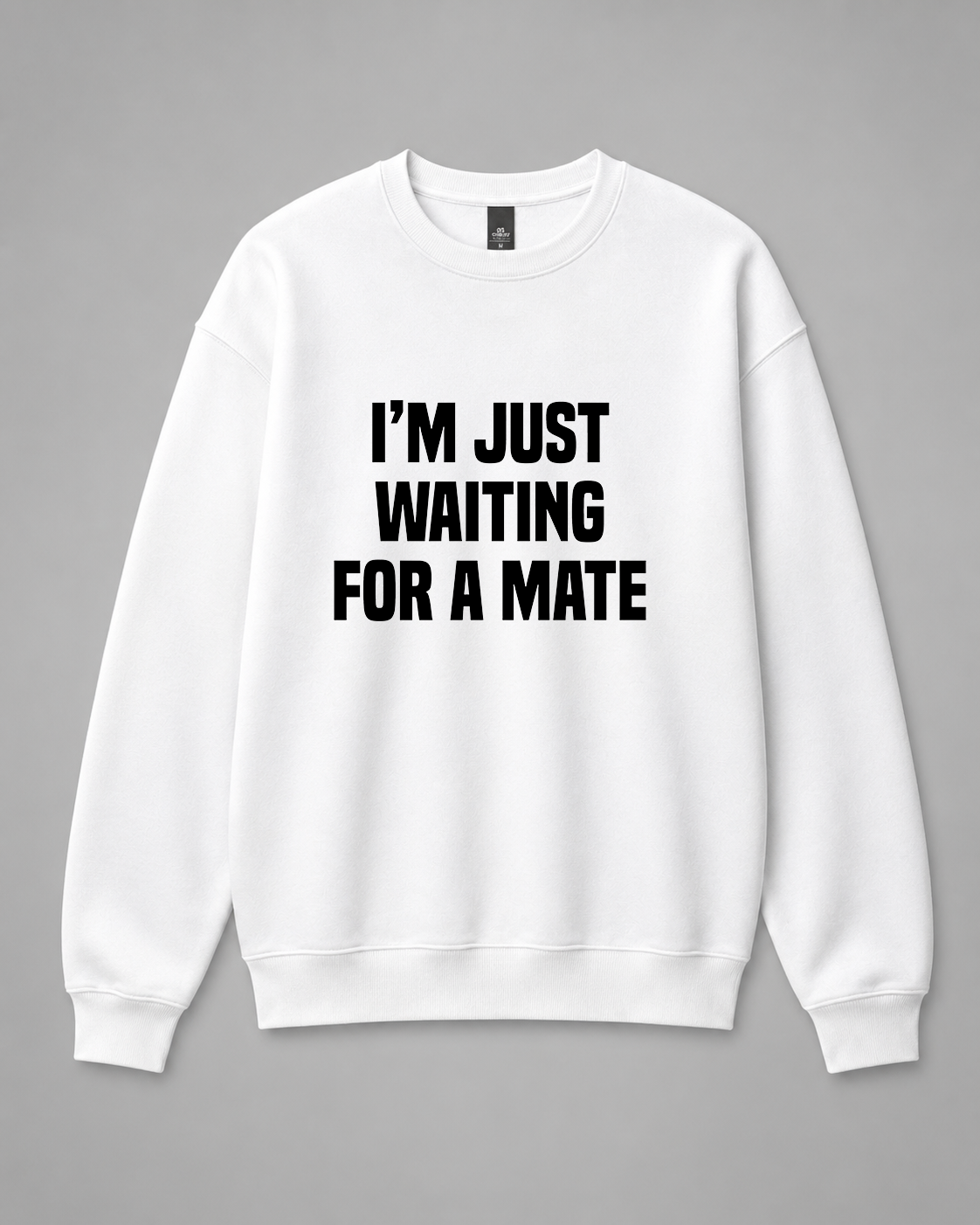 BDG Crew Neck Sweatshirt  -  Just Waiting for a Mate