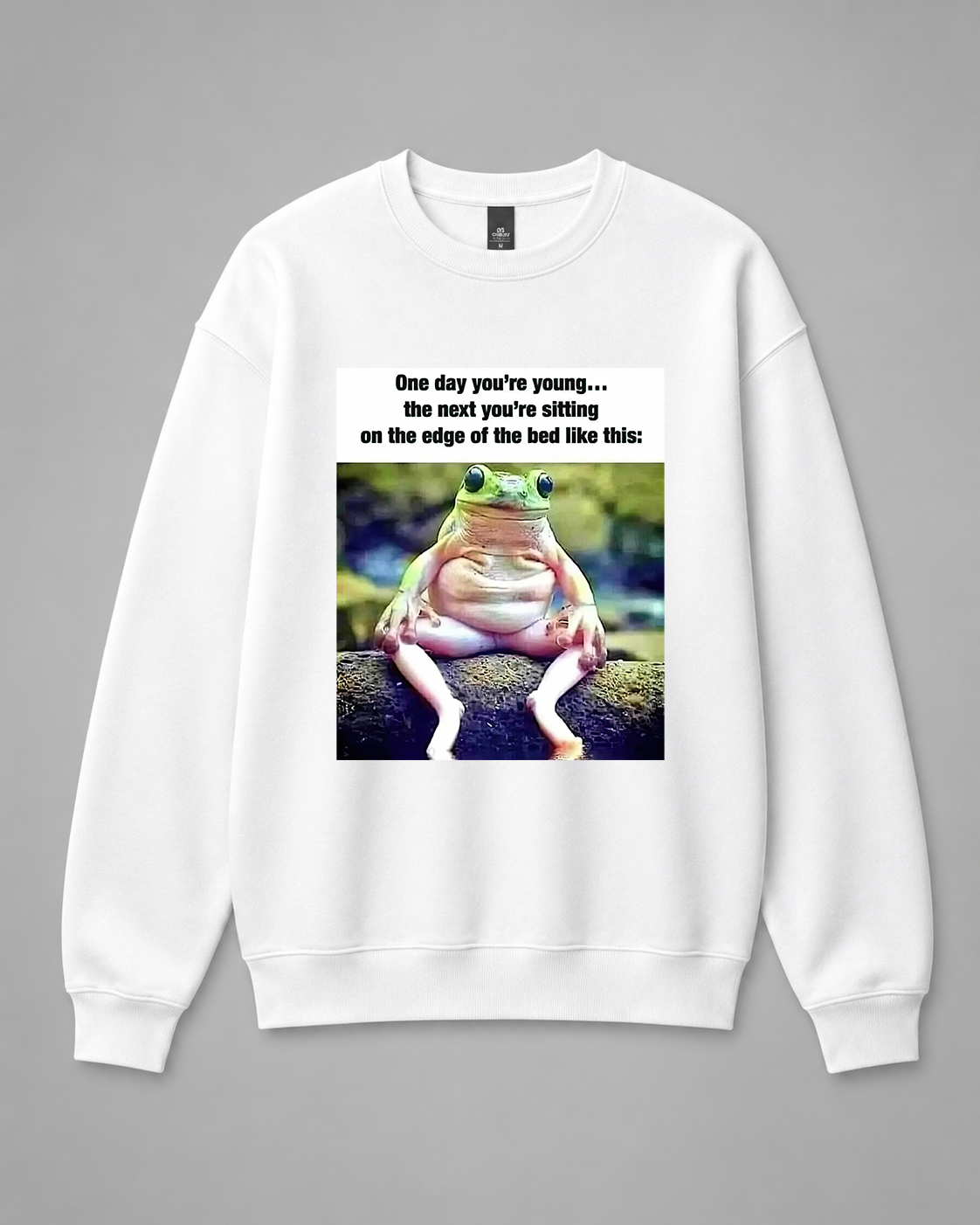 BDG Crew Neck Sweatshirt  - One day you're young