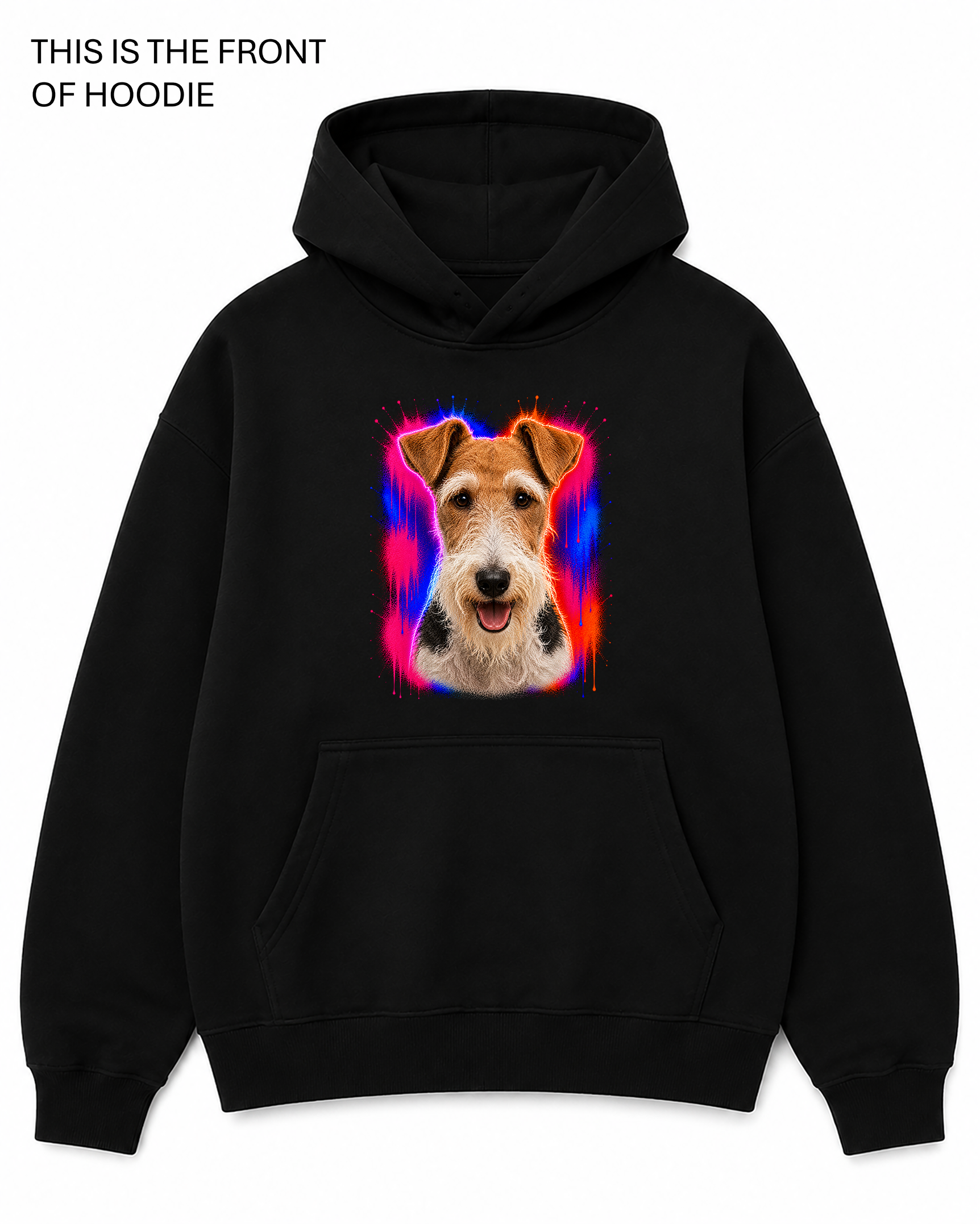 BDG Graphic Hoodie - Fox Terrier