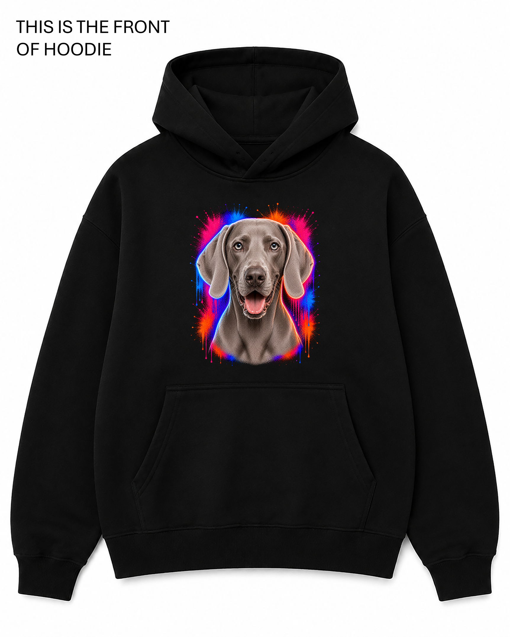 BDG Graphic Hoodie - Weimeranar