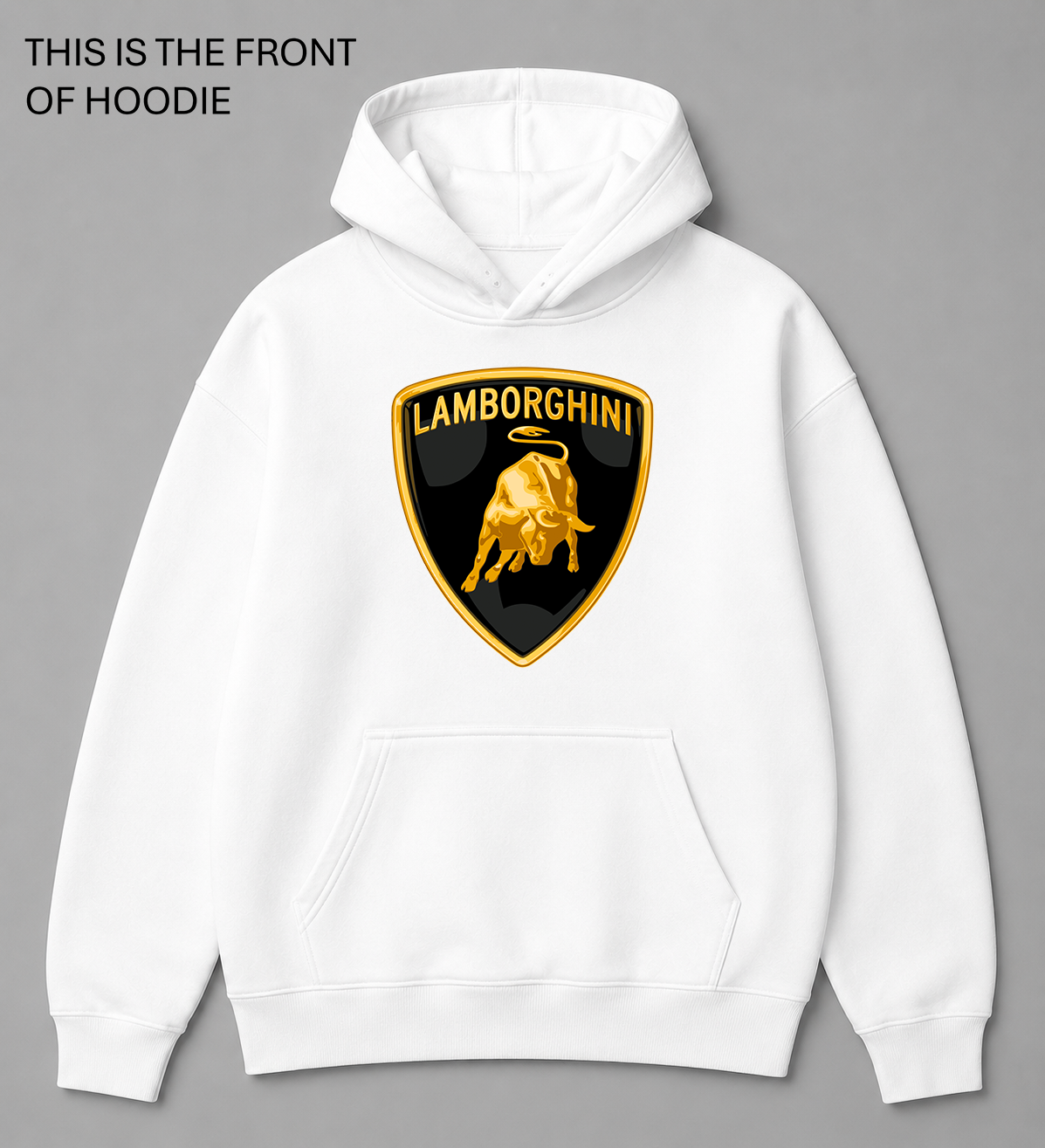 BDG Graphic Hoodie - Lamborghini