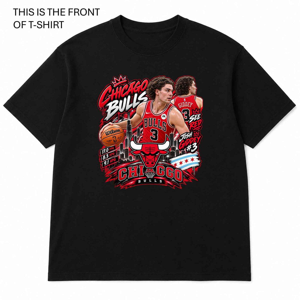 NBA Chicago Bulls Graphic T-Shirt