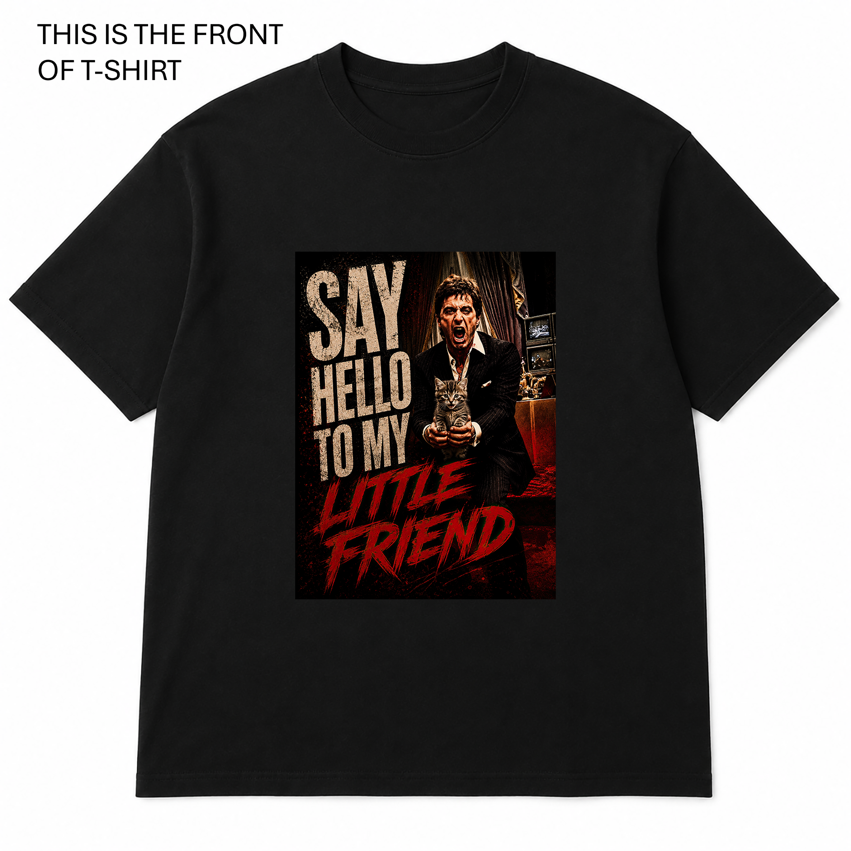 BDG Graphic Tee - Say hello to my little friend - Kitten
