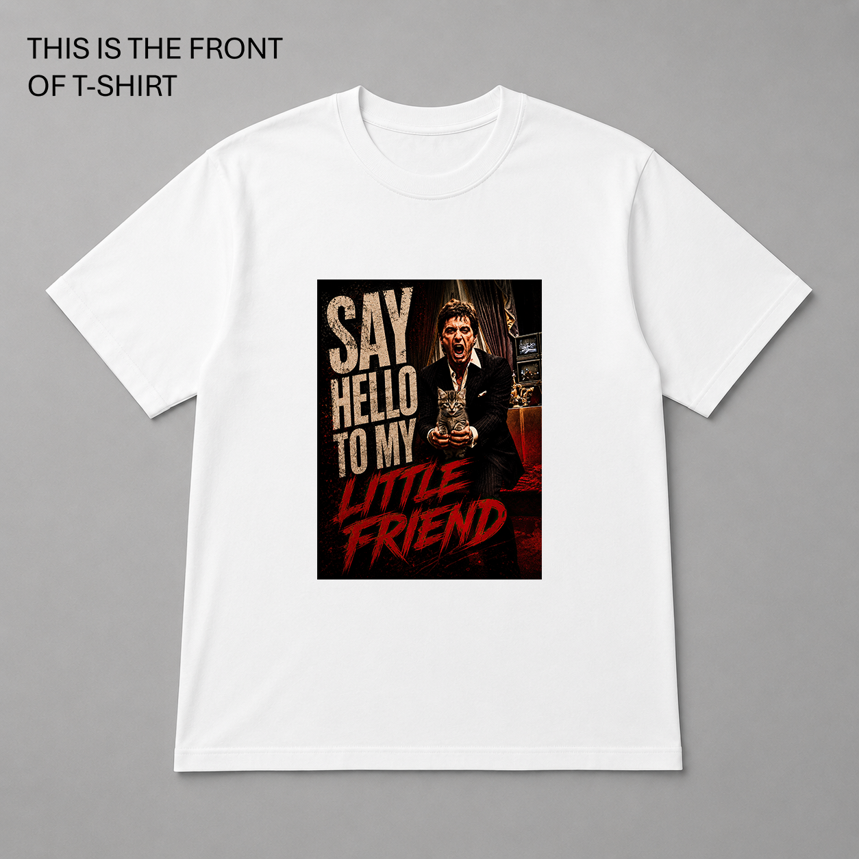 BDG Graphic Tee - Say hello to my little friend - Kitten