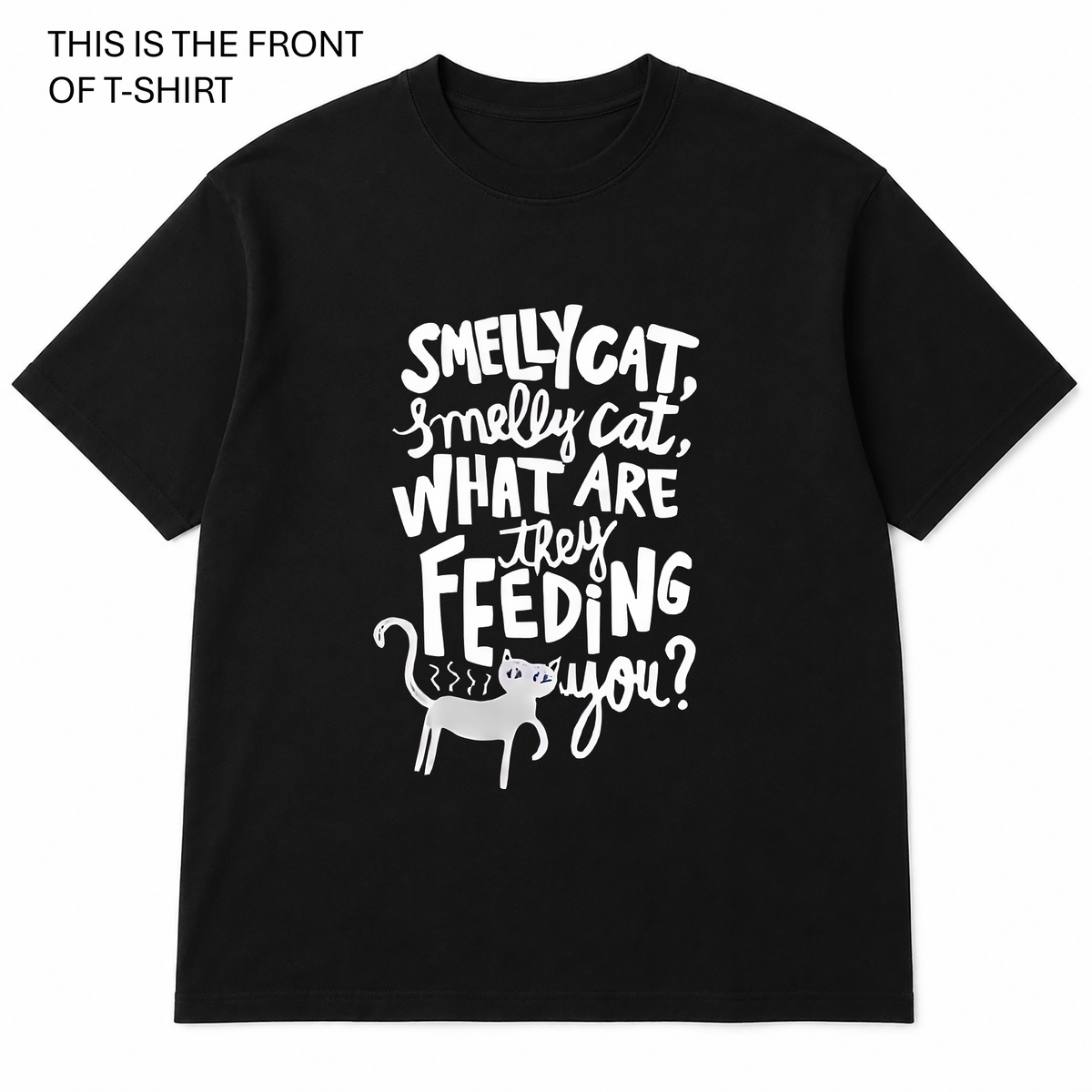 BDG Graphic T-Shirt - Smelly Cat