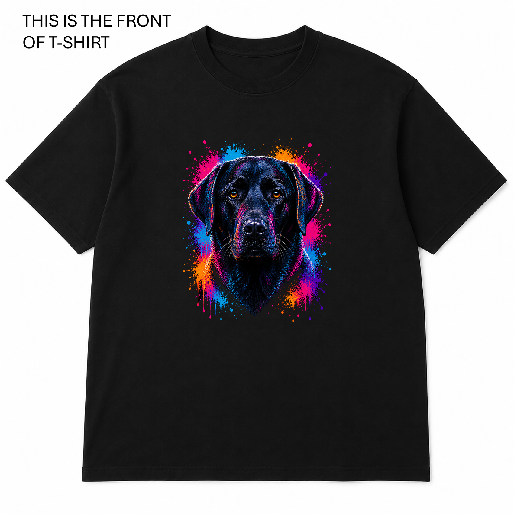 BDG Graphic T-Shirt -  Labrador