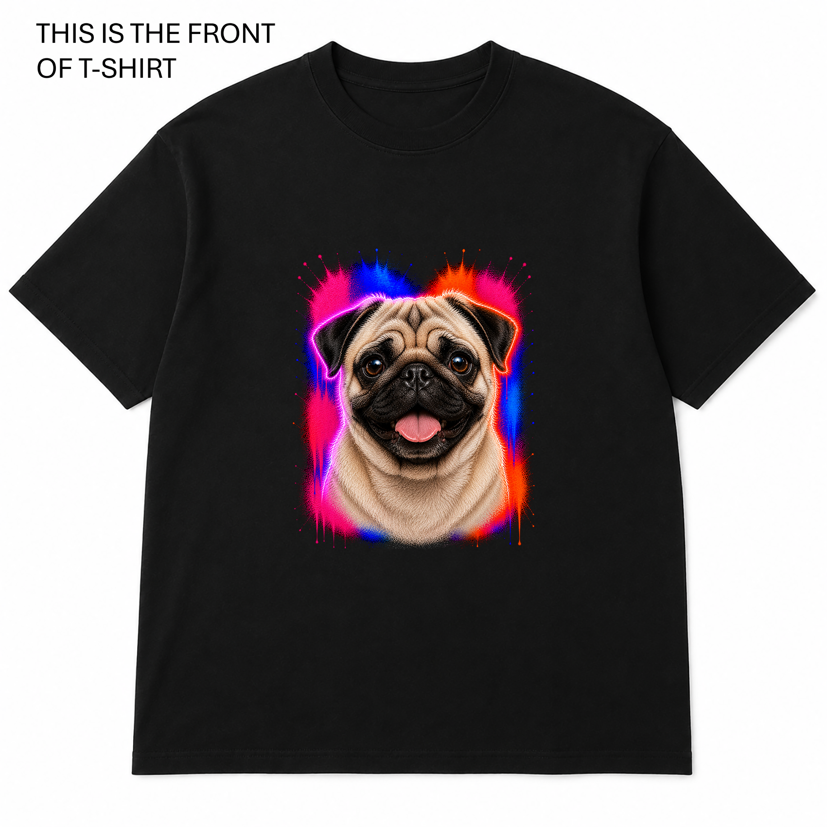 BDG Graphic T-Shirt -  Pug