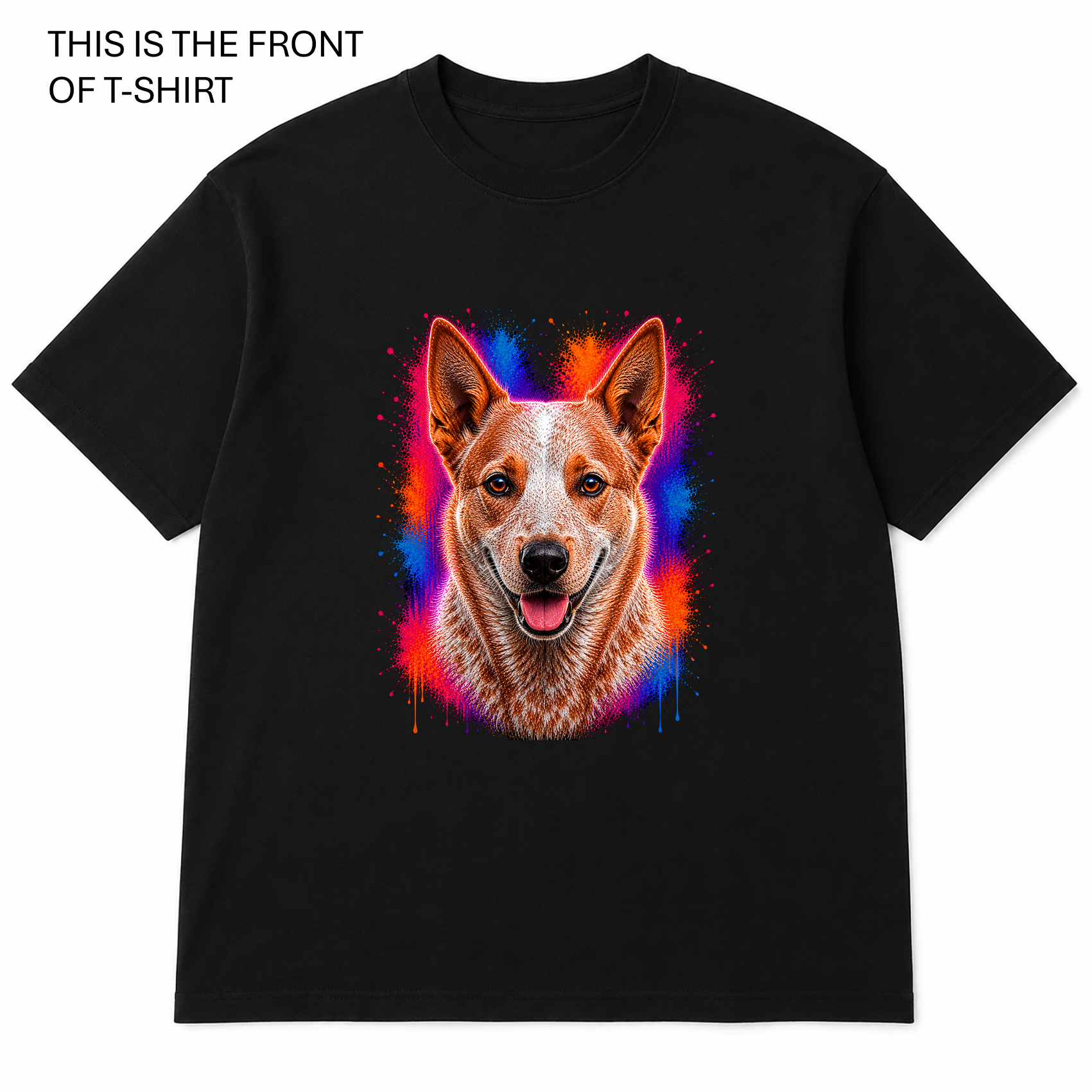 BDG Graphic T-Shirt -  Heeler