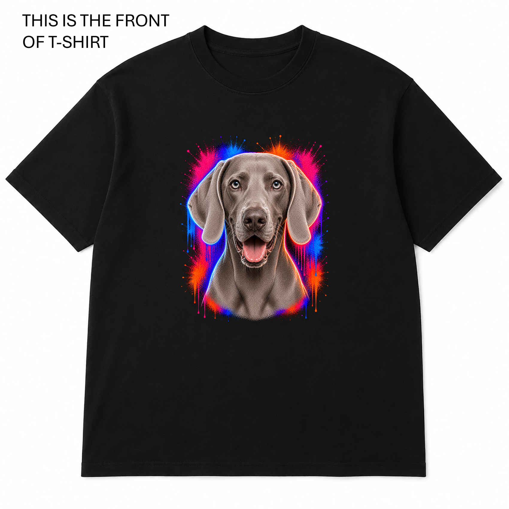 BDG Graphic T-Shirt -  Weimeranar