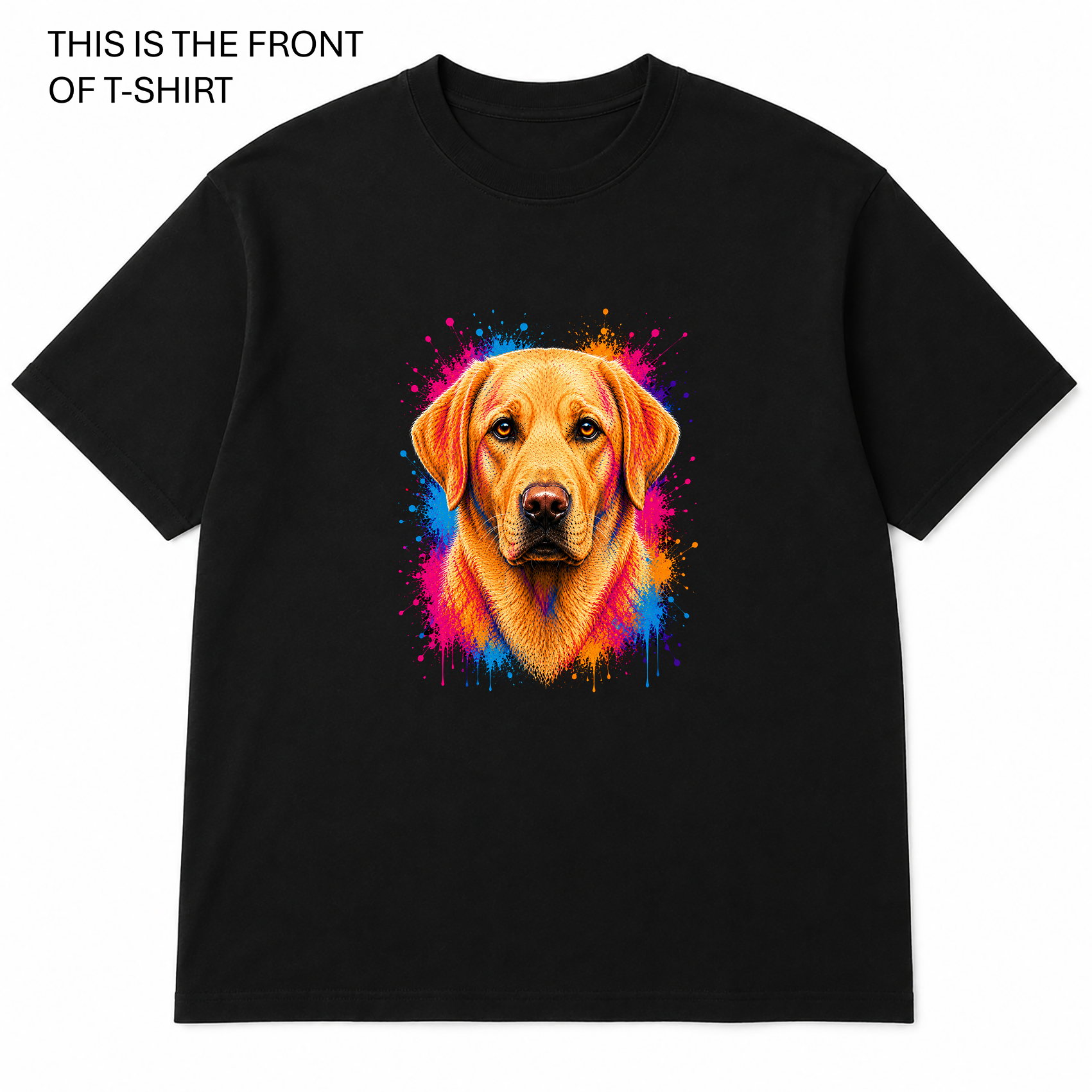 BDG Graphic T-Shirt -  Labrador